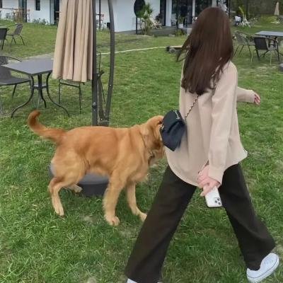 圣诞快乐，毛先生